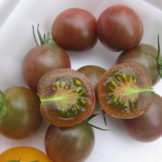 Black Cherry Tomato Seed