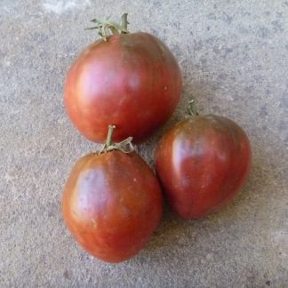 Brad's Black Heart Tomato Seed