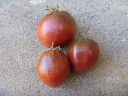 Brad's Black Heart Tomato Seed