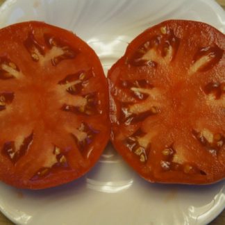 Julia Child Tomato Seed