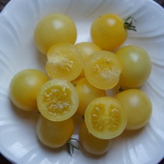 Snow White Cherry Tomato Seed