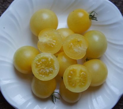 Snow White Cherry Tomato Seed