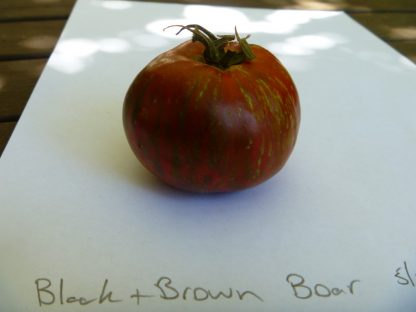 Tomato black and brown boar Tomato Seed