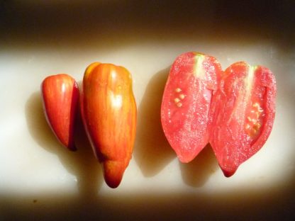 Tomato Seed - Speckled Roman
