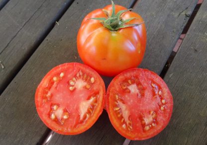 Tomato - UK2000