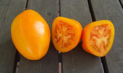 Tomato - Zolotoe Serdtse
