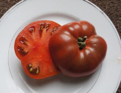 Tomato - Sara Black