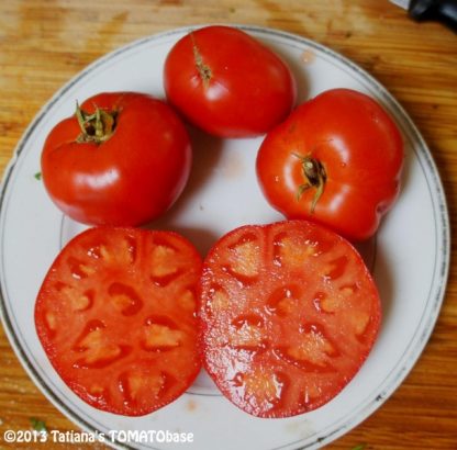 Tomato - Siletz