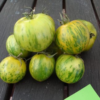 Tomato Green Zebra