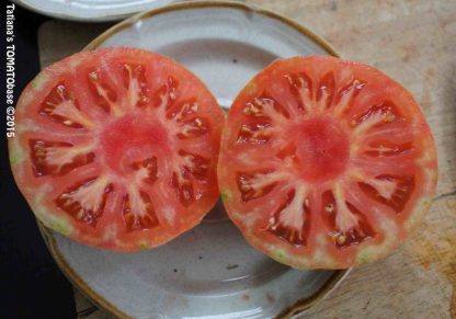 Tomato - Vintage Wine