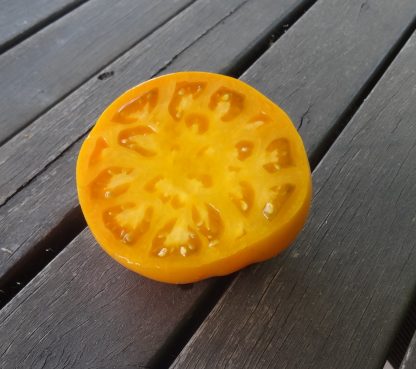 Tomato- Sweet Ozark Orange
