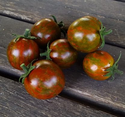 Tomato - Black Zebra