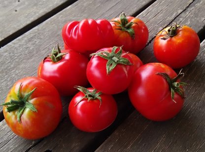 Tomato - Rosa Mellilero